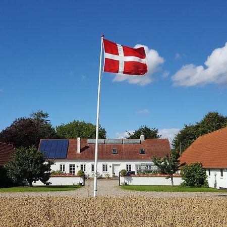 Apartamento Agermosegaard Assens Exterior foto